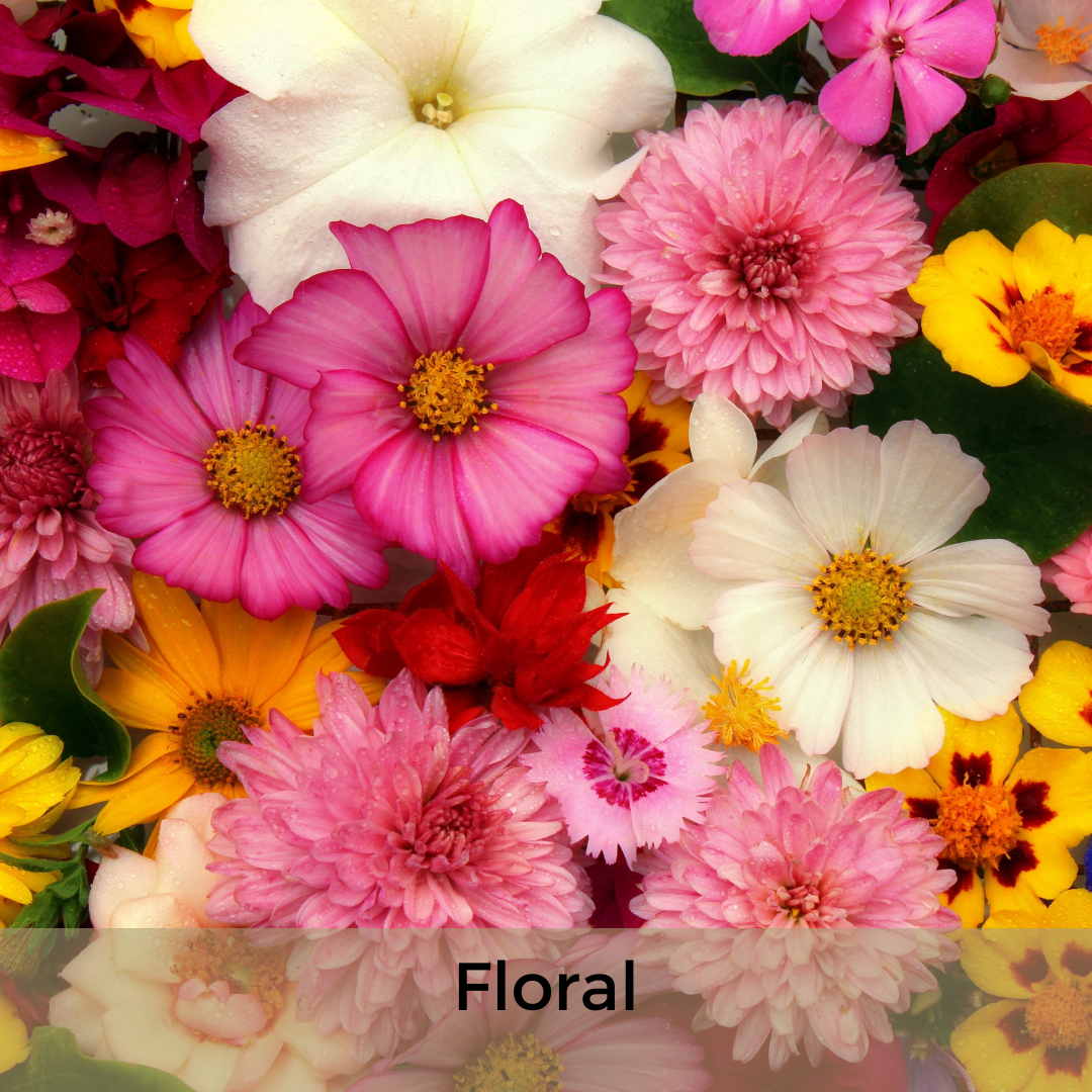 Quais tipos de fragrância você gosta ? Selecione quantas alternativas desejar.