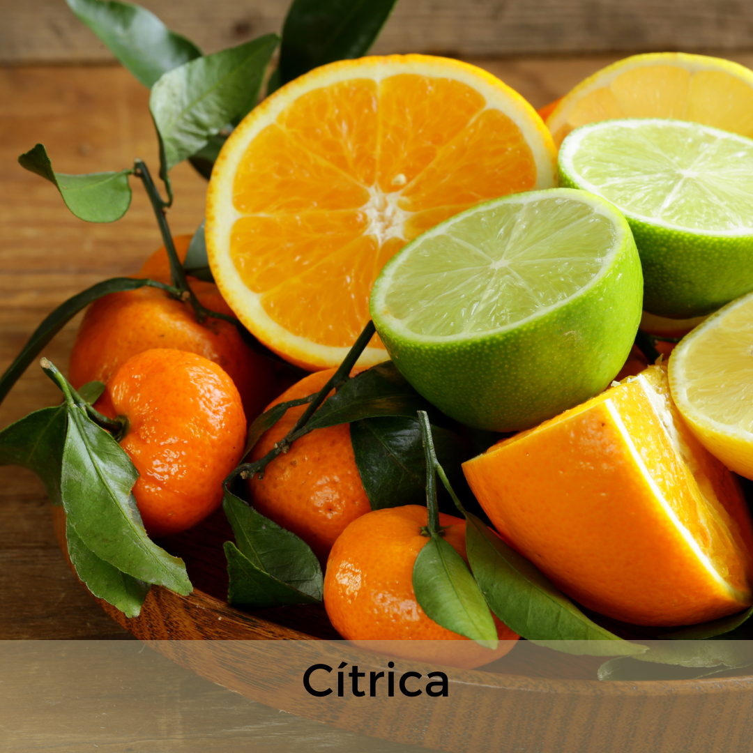 Quais tipos de fragrância você gosta ? Selecione quantas alternativas desejar.